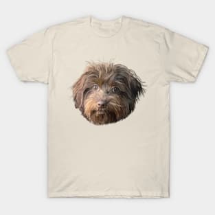 Havanese Dog Portrait T-Shirt